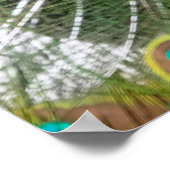 孔雀鮮やかの羽 ポスター (角)