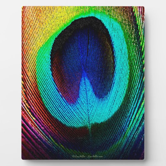 孔雀鮮やか羽 フォトプラーク (正面)