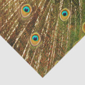 孔雀2ウォールアートデクページティッシュペーパー 薄葉紙 (詳細)