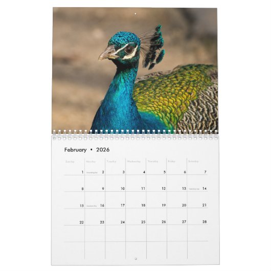 孔雀2025 カレンダー (2月 2026)