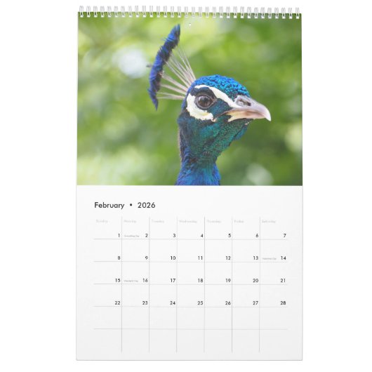 孔雀2025 カレンダー (2月 2026)
