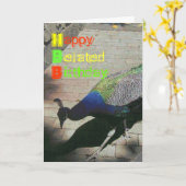 孔雀 カード (黄色い花)