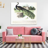 孔雀 キャンバスプリント (インサイチュ (リビング))