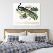 孔雀 キャンバスプリント (インサイチュ (寝室))