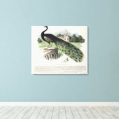 孔雀 キャンバスプリント (インサイチュ (ウッドフロア))