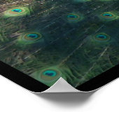 「孔雀」キャンバス印刷 ポスター (角)