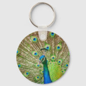 孔雀 キーホルダー (正面)