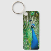 孔雀 キーホルダー (正面)