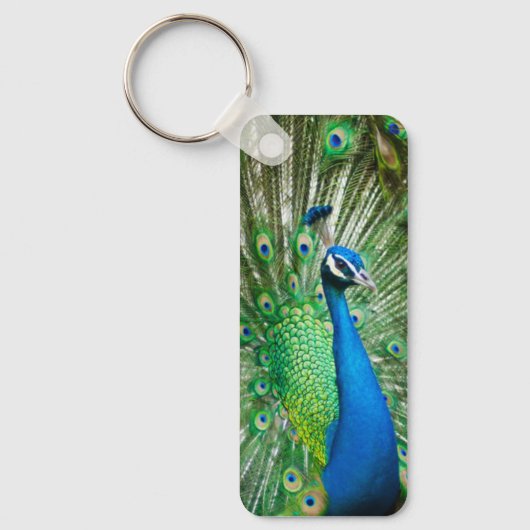 孔雀 キーホルダー (正面)