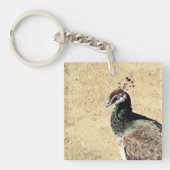 孔雀 キーホルダー (正面)