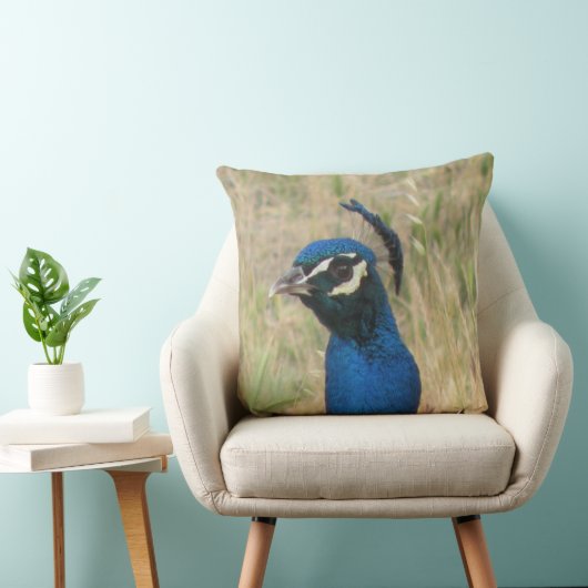 孔雀 クッション (椅子)