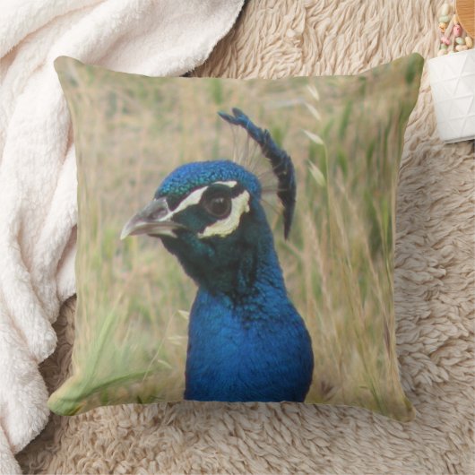 孔雀 クッション (ブランケット)