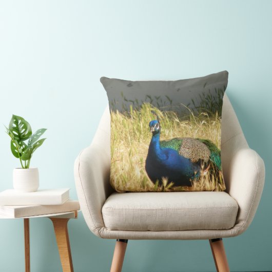 孔雀 クッション (椅子)