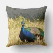 孔雀 クッション (裏面)