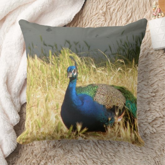 孔雀 クッション (ブランケット)
