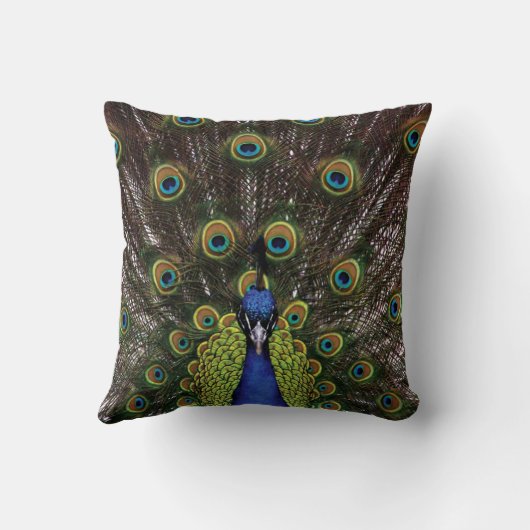 孔雀 クッション (裏面)