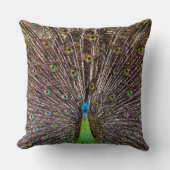 孔雀 クッション (正面)