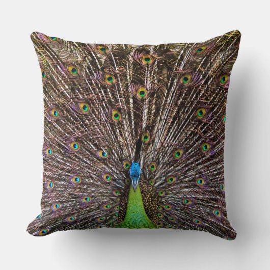 孔雀 クッション (正面)