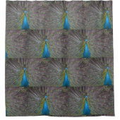 孔雀 シャワーカーテン (正面)