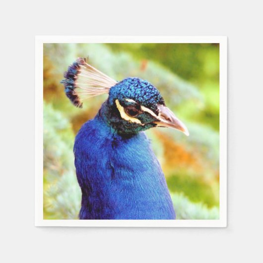 孔雀 スタンダードカクテルナプキン (正面)