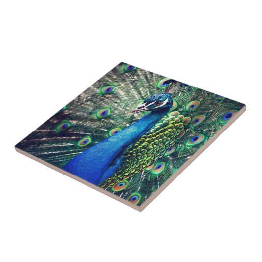 孔雀 タイル (側面)