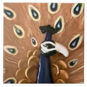 孔雀 タイル (正面)