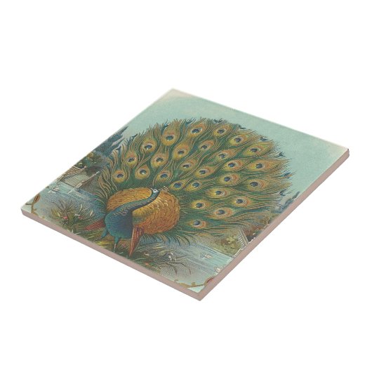 孔雀 タイル (側面)