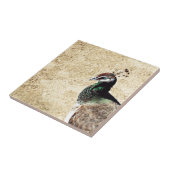 孔雀 タイル (側面)