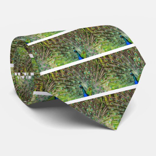 孔雀 ネクタイ (ロール)