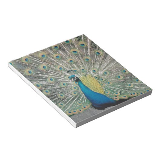 孔雀 ノートパッド (アングル)