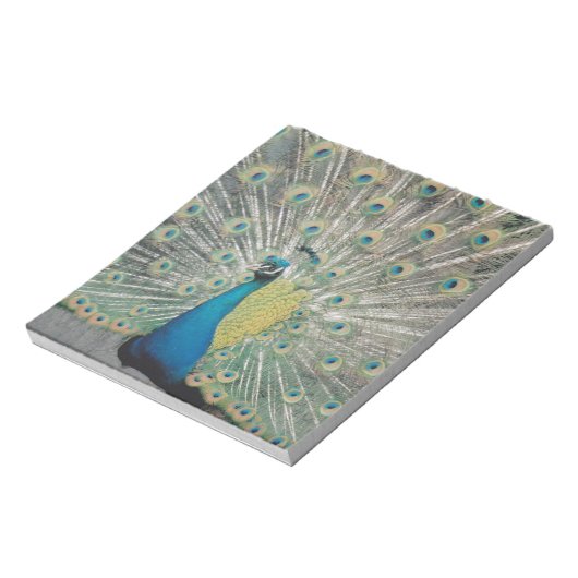 孔雀 ノートパッド (回転)