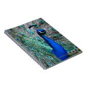 孔雀 ノートブック (右側)