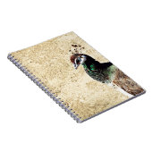 孔雀 ノートブック (右側)