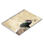 孔雀 ノートブック (左側)