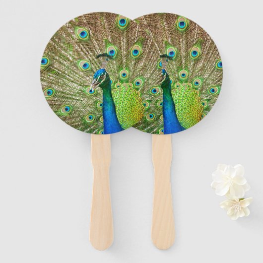 孔雀 ハンドファン (正面&裏面)