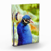 孔雀 フォトブロック (左)