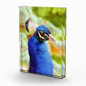 孔雀 フォトブロック (右)