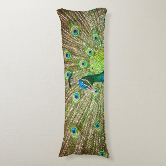 孔雀 ボディピロー (正面縦)