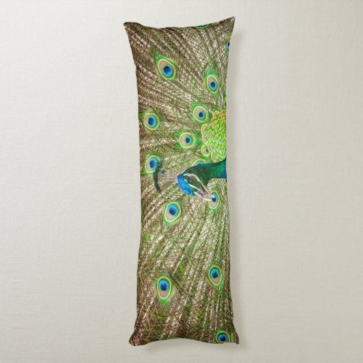 孔雀 ボディピロー (裏面 (縦))