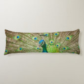 孔雀 ボディピロー (正面)