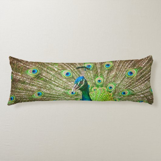 孔雀 ボディピロー (正面)