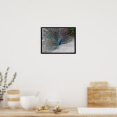 孔雀 ポスター (キッチン)