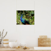 孔雀 ポスター (キッチン)