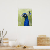 孔雀 ポスター (キッチン)