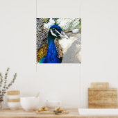 孔雀 ポスター (キッチン)