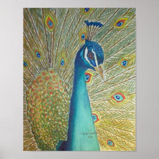 孔雀 ポスター (正面)