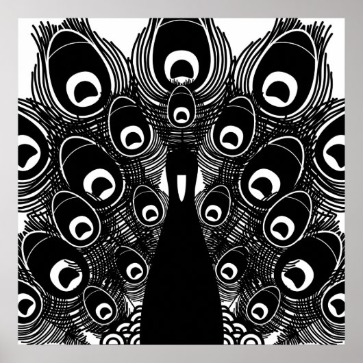 孔雀 ポスター (正面)