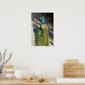 孔雀 ポスター (キッチン)