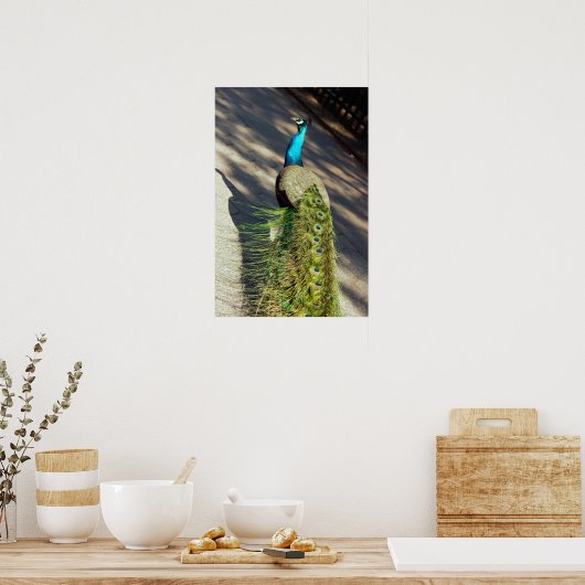 孔雀 ポスター (キッチン)