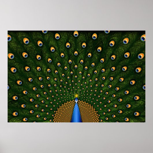 孔雀 ポスター (正面)